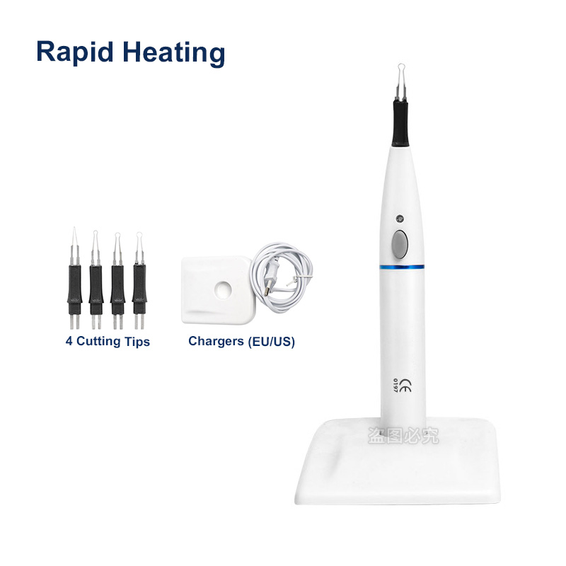 Teeth Whitening Professional - 4 ujung pemotong Gutta Percha Endo