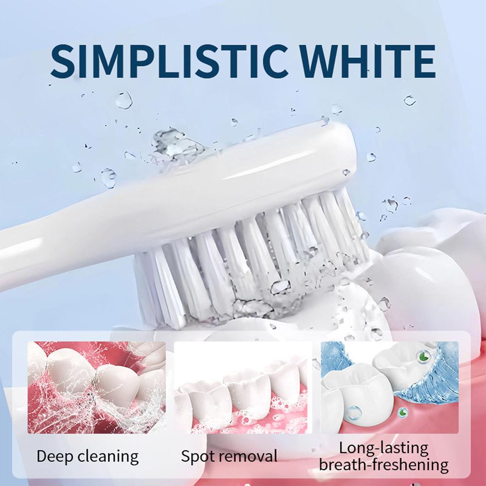 15g Bubuk Pemutih Gigi Premium - Teeth Paint Whitening ulasan dan harga