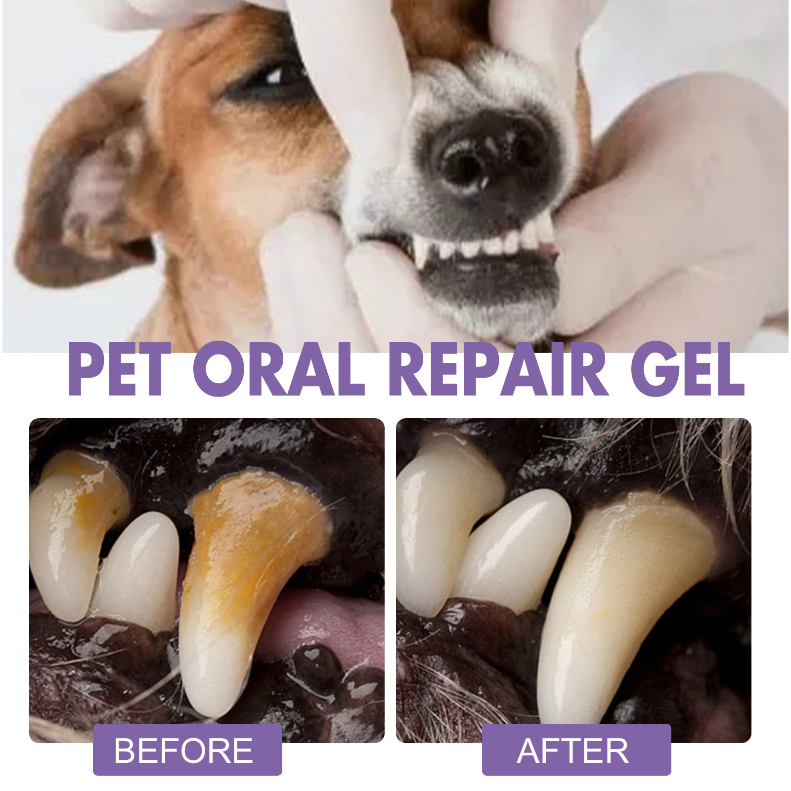 Gel perbaikan mulut hewan peli - Whitening Mouthwash ulasan dan harga